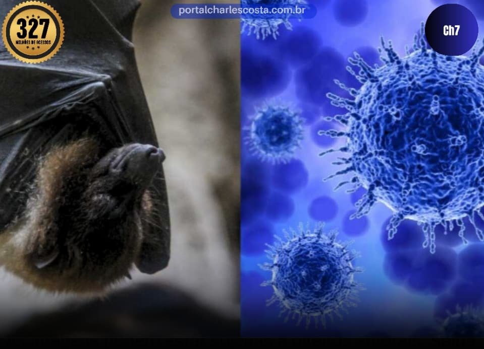 nipah aeroportos instalaram câmeras térmicas para evitar disseminação de vírus letal que pode evoluir para o comoa em menos de 48 horas.