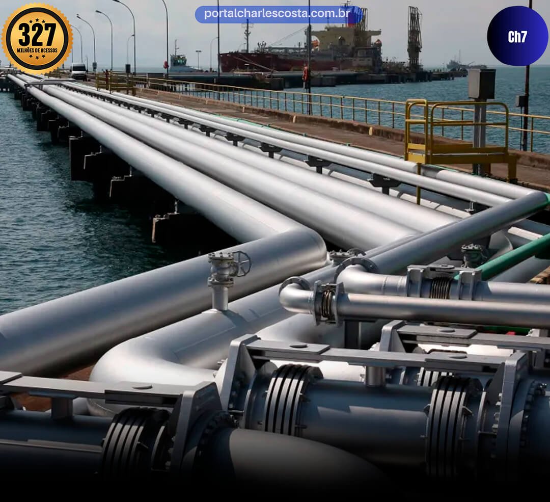 operação desmantela furto de petróleo em fazenda de bicheiro (1)