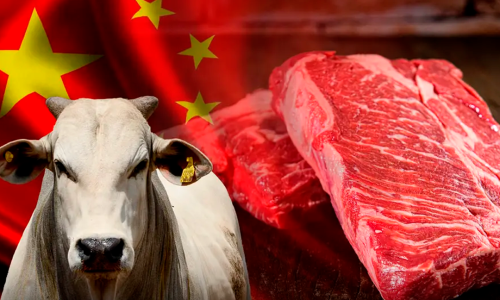 China-anuncia-tarifa-de-até-55-sobre-carne-bovina-brasileira