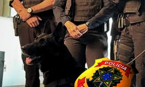 pf suspende gravações do programa área restrita em aeroportos do brasil.