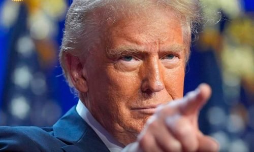 trump apresenta plano nacional de saúde e desmonta narrativa de que os eua não possuem sistema público (1)